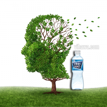 Uống nước khoáng giúp ngừa bệnh Alzheimer