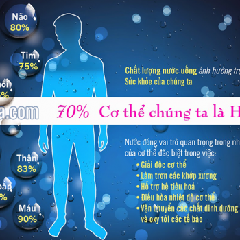 Vai trò của nước đối với cơ thể