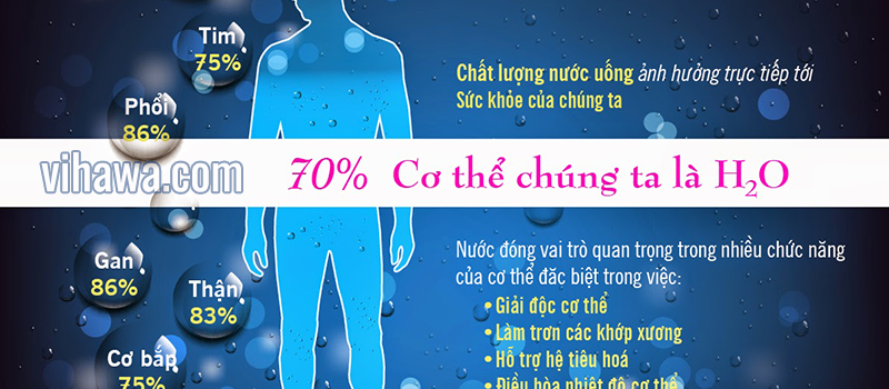 Vai trò của nước đối với cơ thể