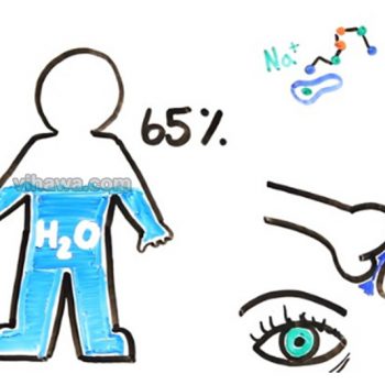 Cơ thể nguy hại thế nào khi ngừng uống nước