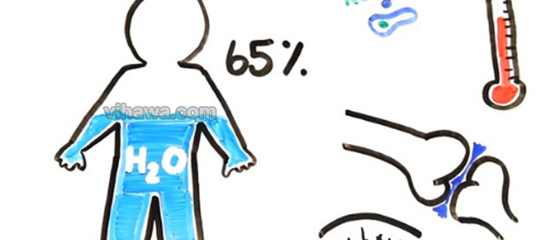 Cơ thể nguy hại thế nào khi ngừng uống nước