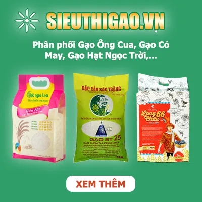 Gạo